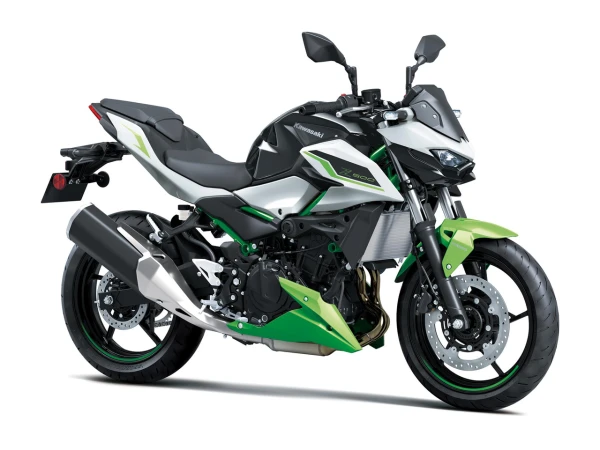 Z 500 SE